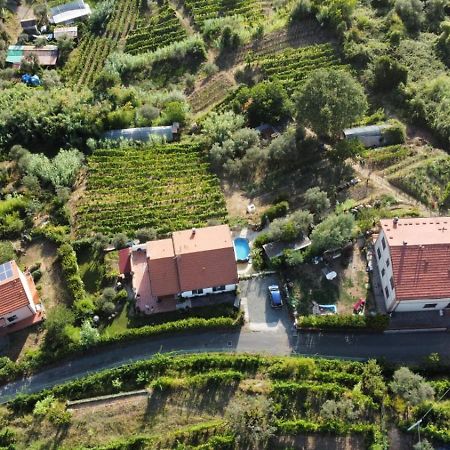 In Vino Veritas Arcola Bagian luar foto