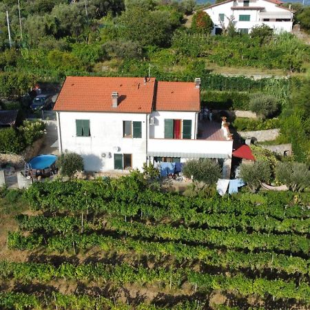 In Vino Veritas Arcola Bagian luar foto