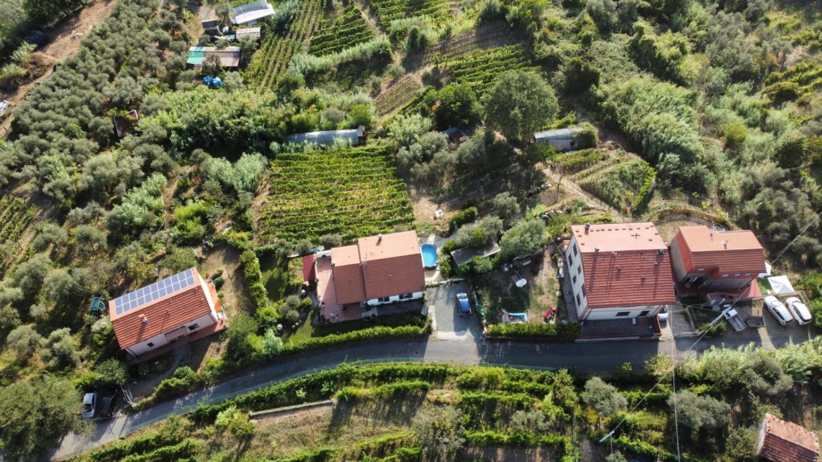 In Vino Veritas Arcola Bagian luar foto