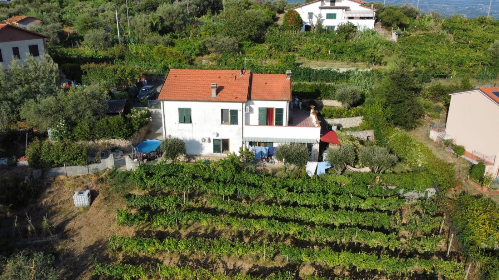 In Vino Veritas Arcola Bagian luar foto